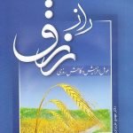 راز رزق: عوامل افزایش و کاهش روزی