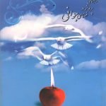 راهنمای پرواز در فضای جوانی